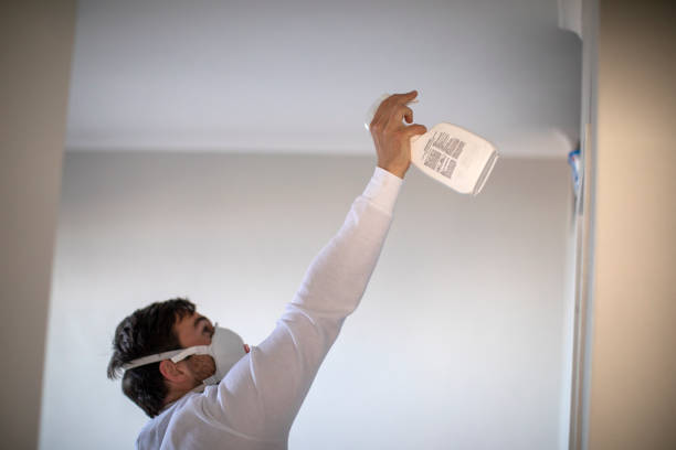 Best Black Mold Remediation in Lino Lakes, MN