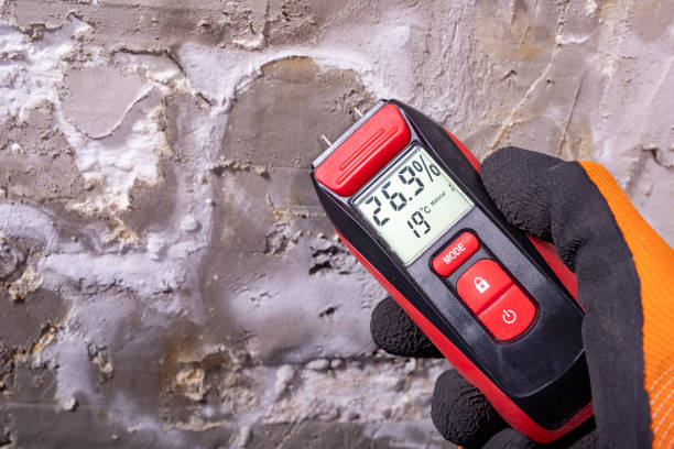 Best Residential Mold Remediation in Lino Lakes, MN